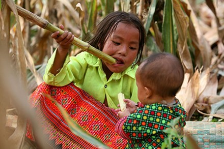 Tổ chức tầm nhìn Thế giới hỗ trợ hơn 1,8 triệu đôla Mỹ cải thiện đời sống người nghèo ở Quảng Trị - ảnh 1